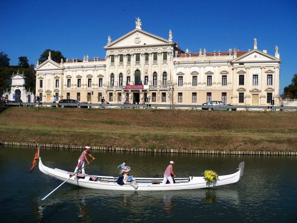 ar galiu prekiauti opcionais savo ištikimybe ira geriausi kurso dvejetainiai variantai